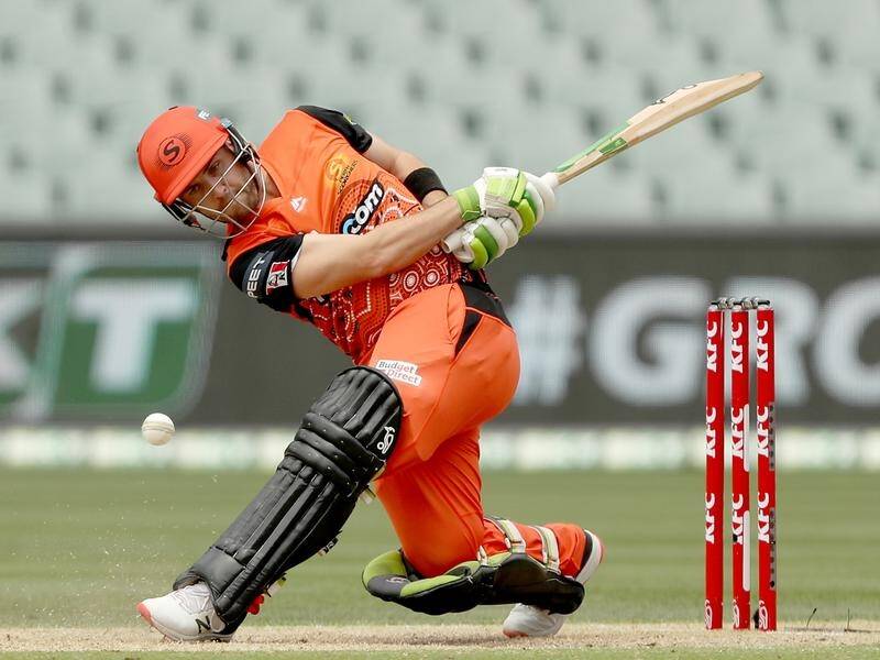 Wicketkeeper/batsman Josh Inglis is the bolter named in Australia's T20 World Cup squad.