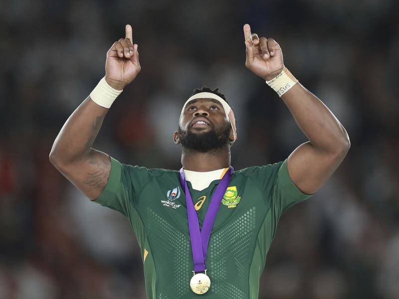 Springboks Withdraw From Rugby Champs The Daily Advertiser Wagga