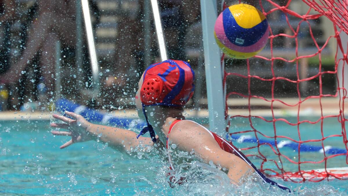 Water polo state championships Photos The Daily Advertiser Wagga
