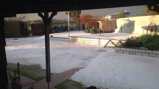 Sharlee Kerr posted this image of her hail-covered yard in Ladysmith on The Daily Advertiser's Facebook page after isolated storms rolled through the Riverina on Sunday afternoon. 