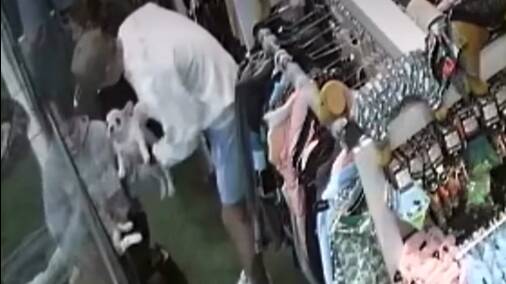 Security cameras allegedly caught the theft. 
