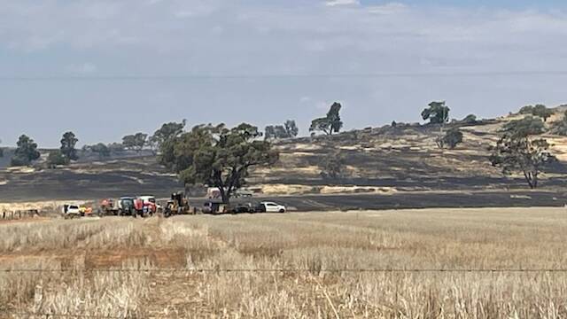 Firefighters on the scene of a grass fire off Twelve Mile Road at Collingullie, west of Wagga, on Friday, February 23. Picture by Les Smith