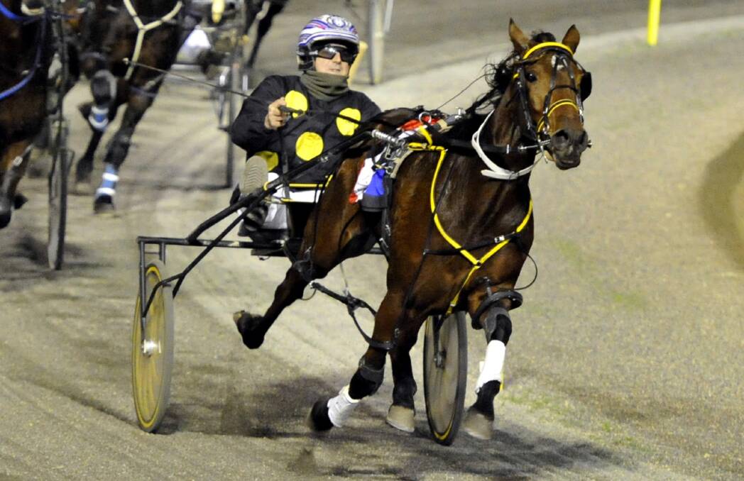 MAIDEN WIN: Champion Miss brought the first for her trainer, Temora horseman Anthony Deep at Menangle on Tuesday.